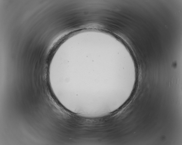 X0000116141115201001041026