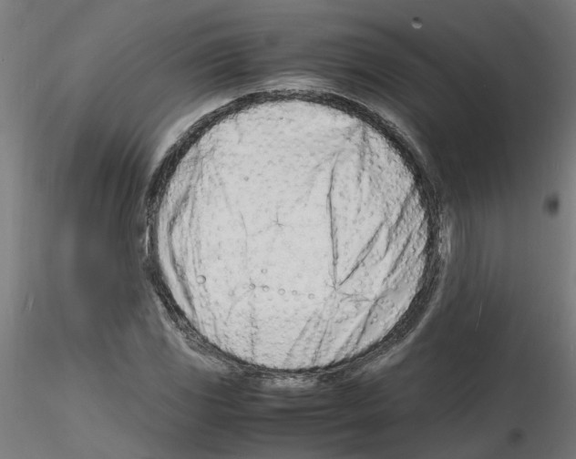 X0000116141117201001041027