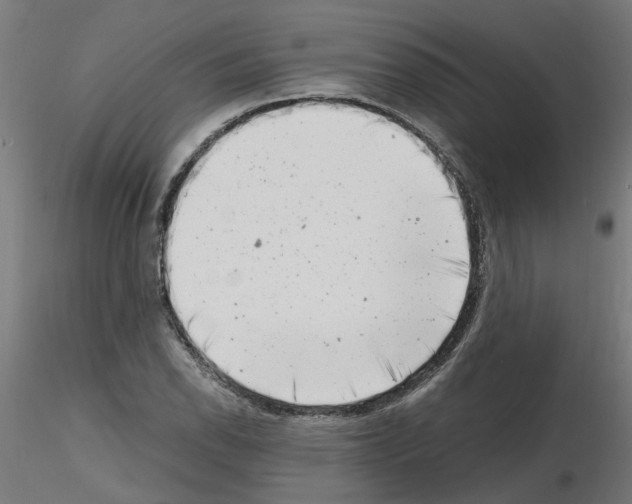 X0000116141118201001041027