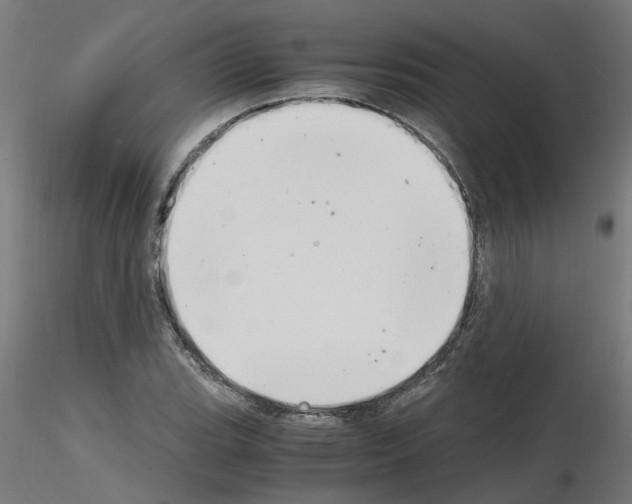 X0000116141119201001041027