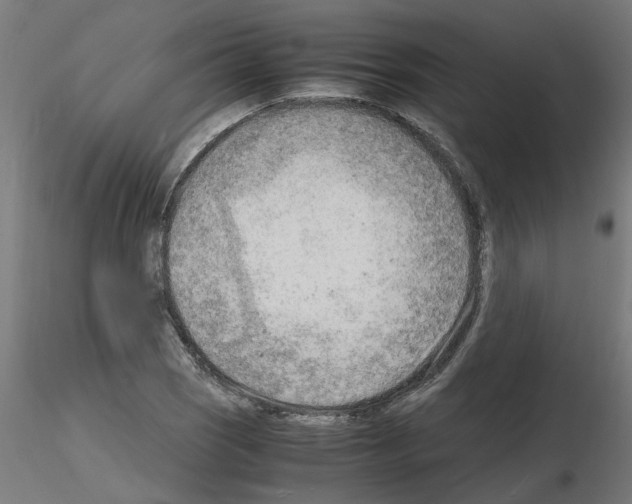 X0000116141121201001041027