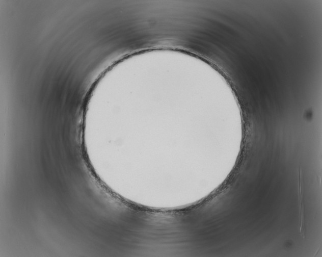 X0000116141126201001041027