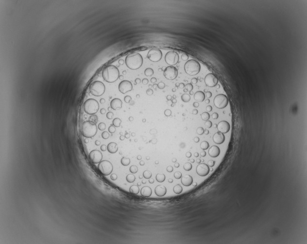 X0000116141130201001041027