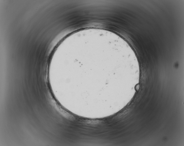 X0000116141131201001041027