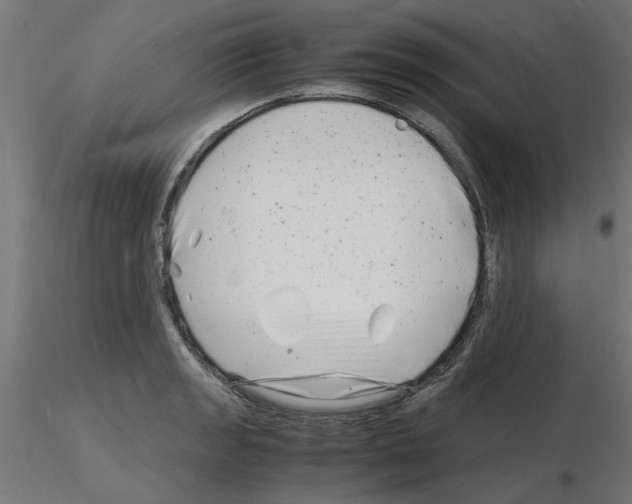 X0000116141133201001041027