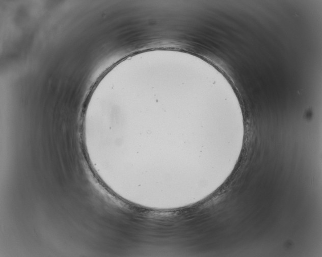 X0000116141135201001041027