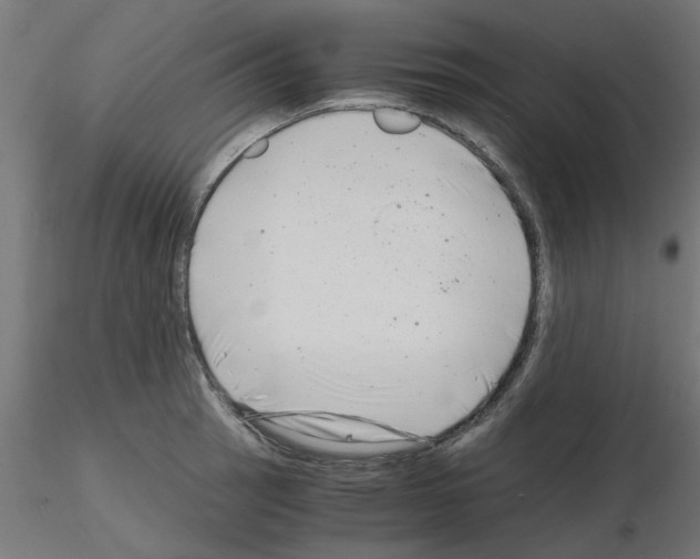 X0000116141137201001041027