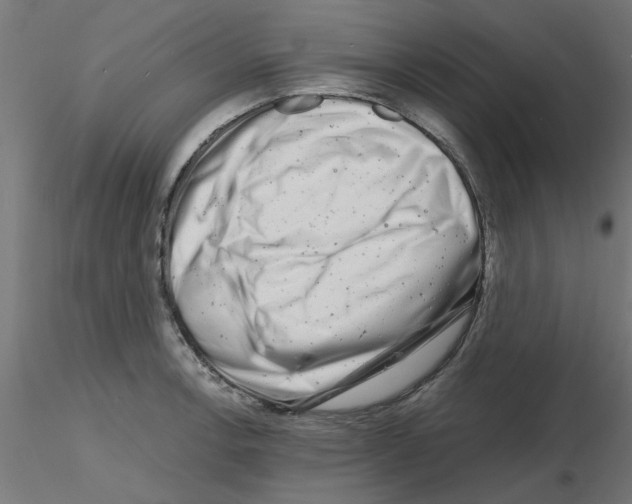 X0000116141138201001041027