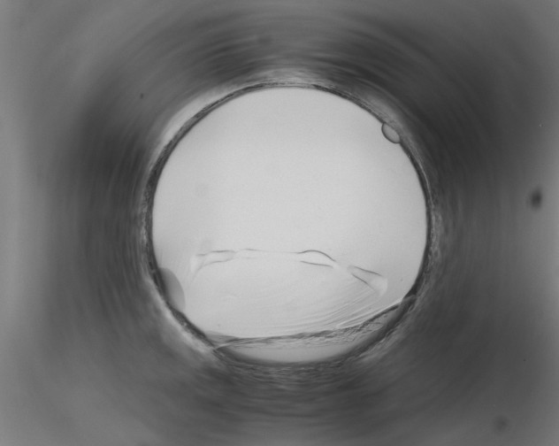 X0000116141141201001041027