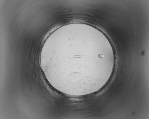 X0000116141145201001041027