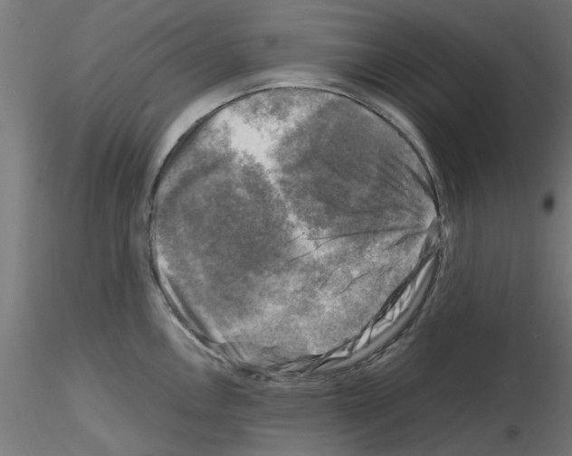 X0000116141146201001041027