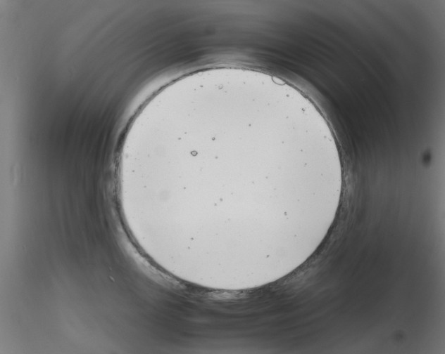 X0000116141147201001041027