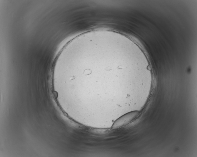 X0000116141149201001041027