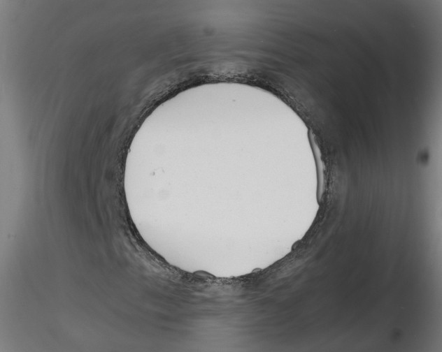 X0000116141153201001041026