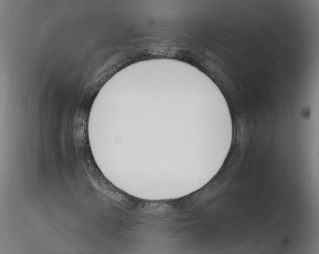 X0000116141154201001041026