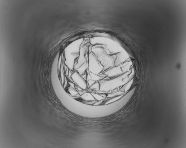 X0000116141157201001041026