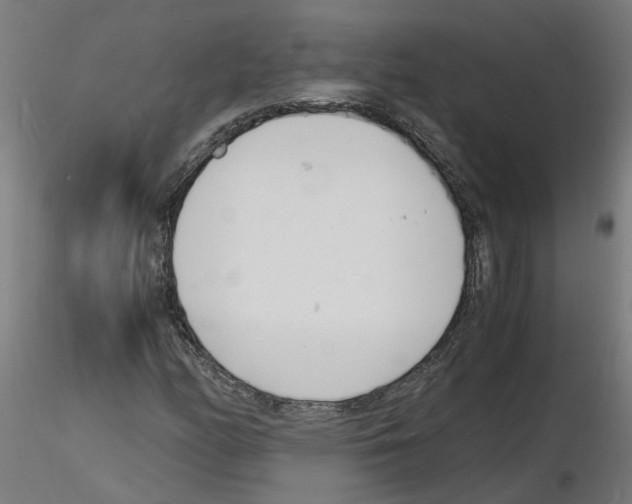 X0000116141158201001041026