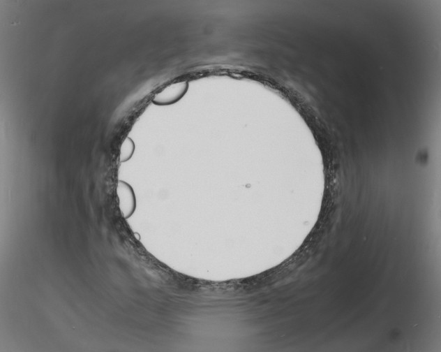 X0000116141159201001041026