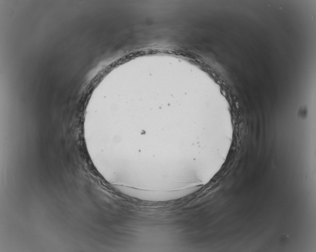 X0000116141160201001041026