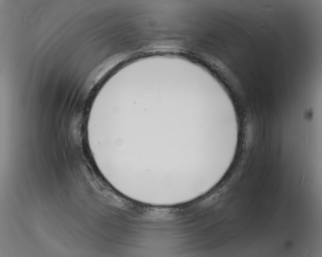 X0000116141162201001041026