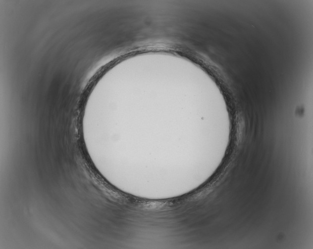 X0000116141166201001041026