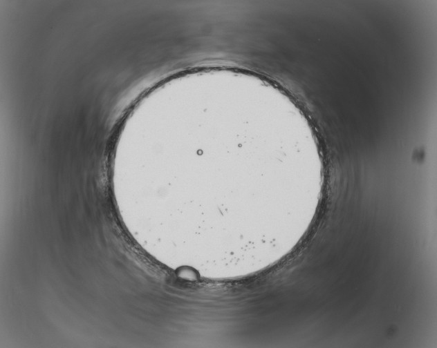 X0000116141167201001041026