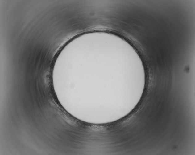 X0000116141170201001041026