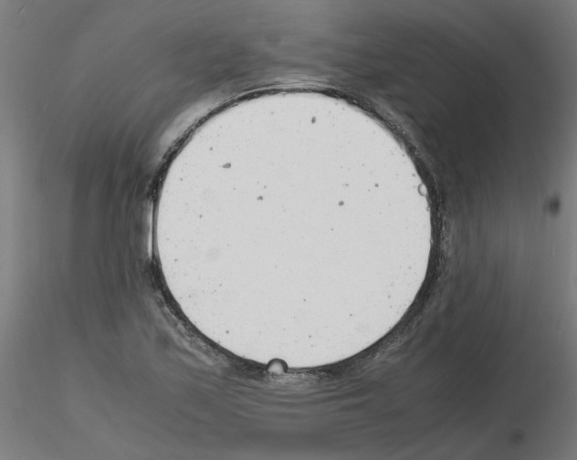 X0000116141171201001041026