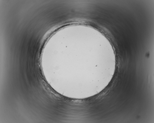 X0000116141172201001041026