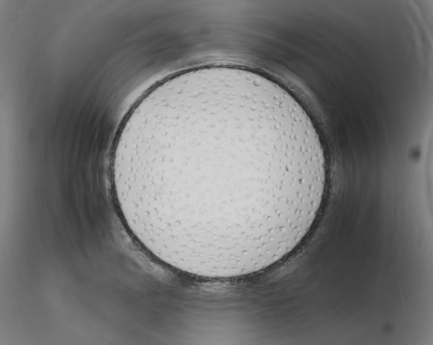 X0000116141182201001041026