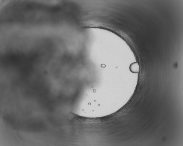 X0000116141183201001041026