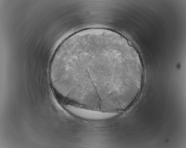 X0000116141189201001041026