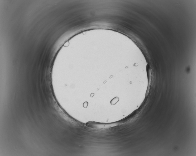 X0000116141192201001041026