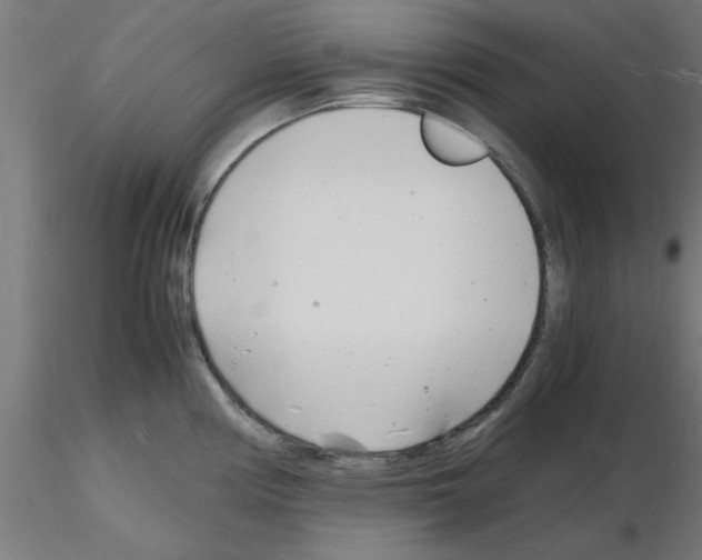 X0000116141194201001041026