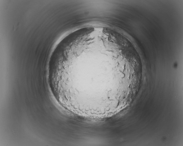 X0000116141195201001041026