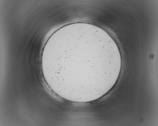 X0000116141200201001041026