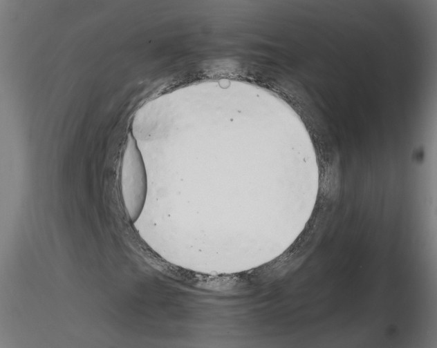 X0000116141201201001041025