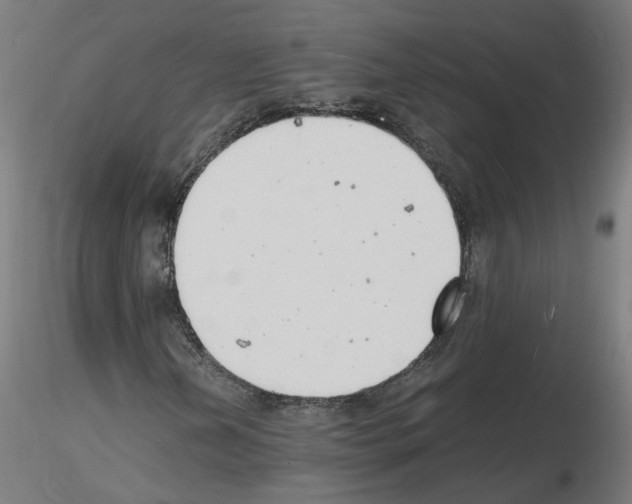 X0000116141202201001041025