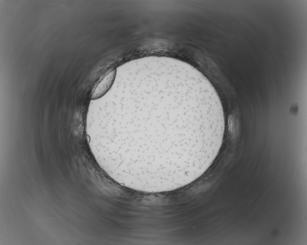 X0000116141203201001041025