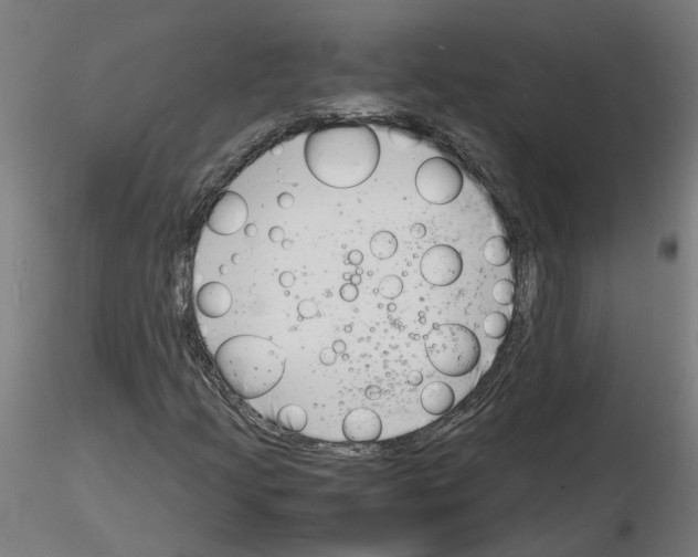 X0000116141205201001041025