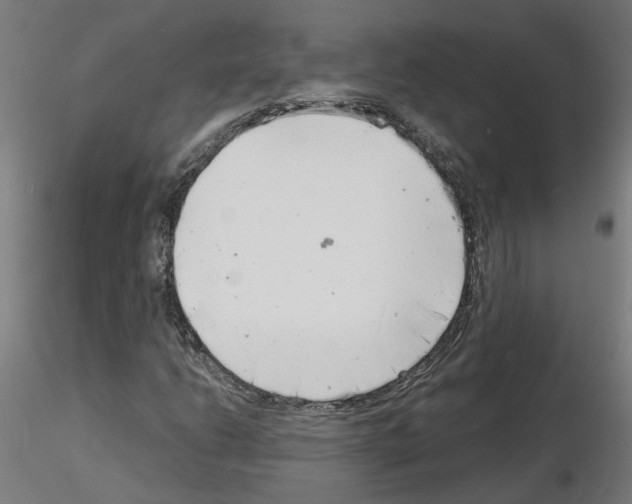 X0000116141206201001041025