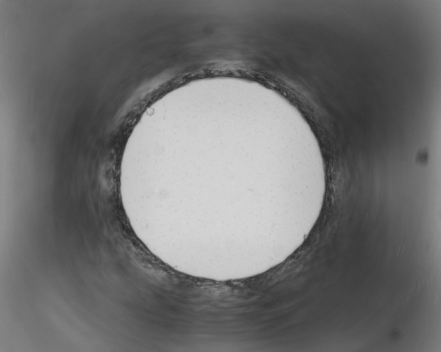 X0000116141207201001041025