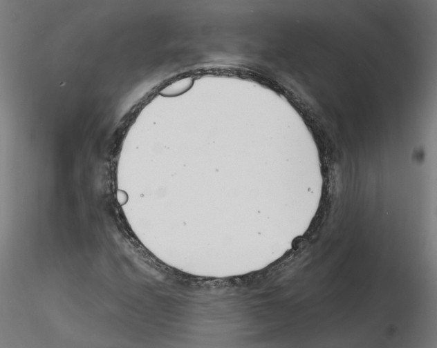 X0000116141208201001041025