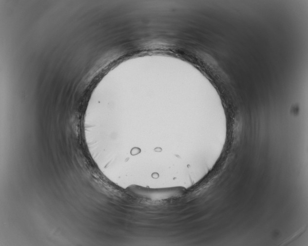 X0000116141209201001041025