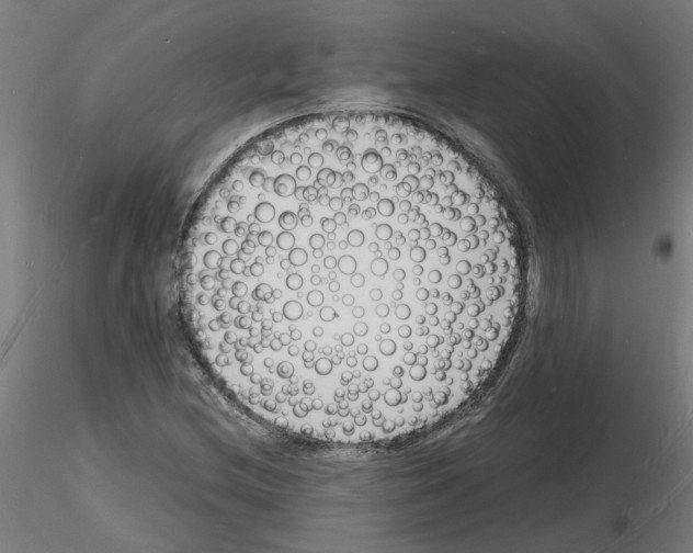 X0000116141212201001041025