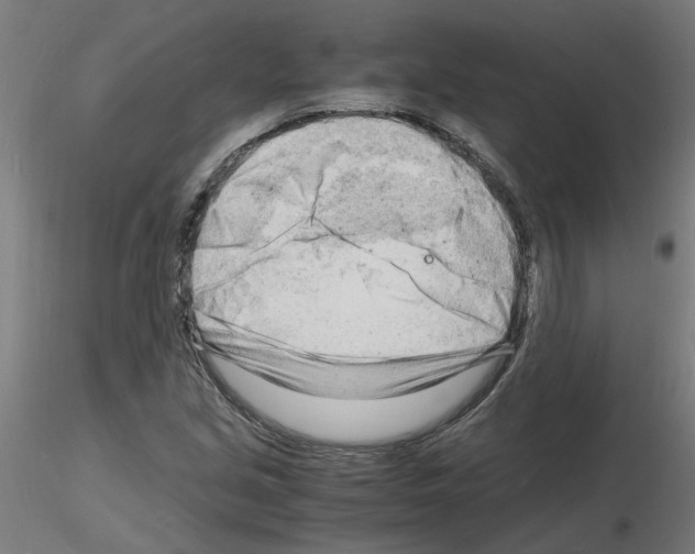 X0000116141213201001041025