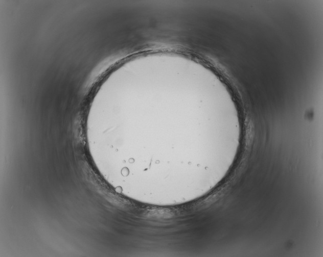 X0000116141215201001041025