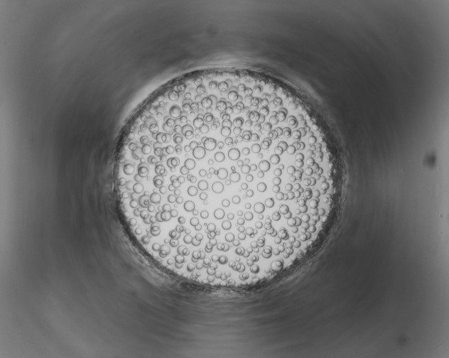 X0000116141216201001041025