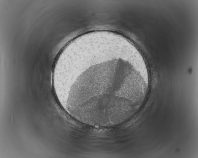 X0000116141221201001041025