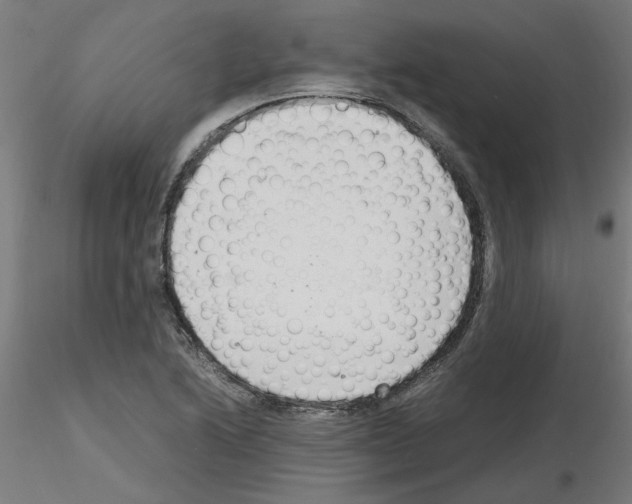 X0000116141222201001041025